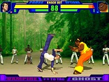 Capoeira Fighter 3 Capoeira Fighter 3