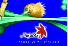 maple dump