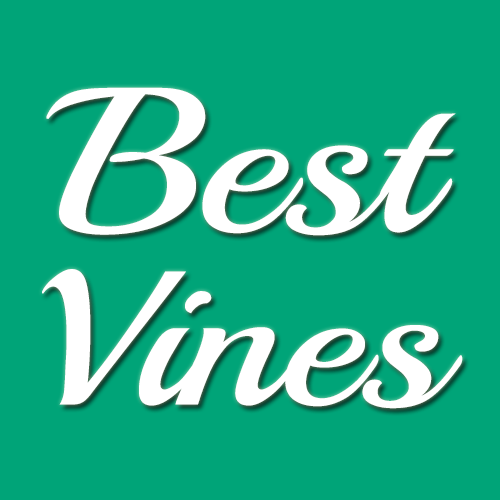 Vines