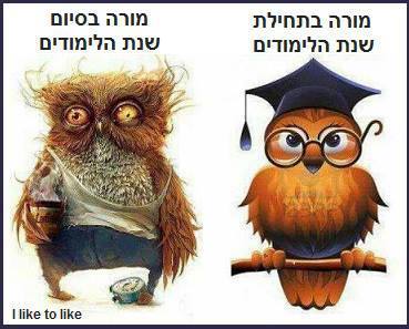 חוזרים לבית ספר