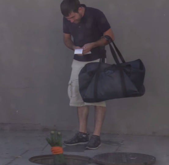 צב נינגה רעב