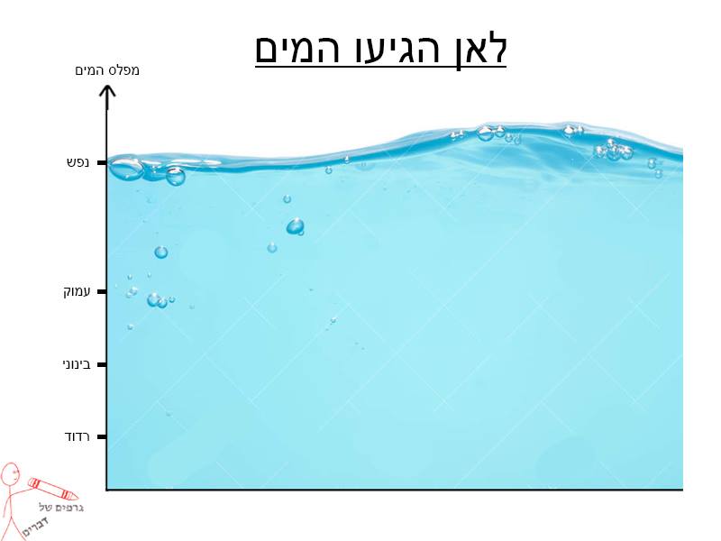 גרפים בכל מקום