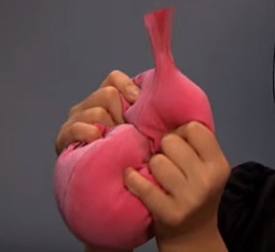 תעמוד פה רגע