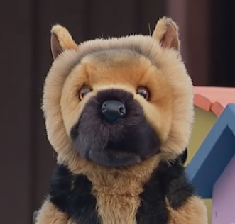 מתיחות כלבים