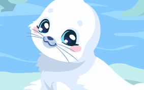 טיפול בכלב ים