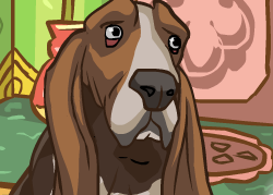 הכלב החכם שלי 