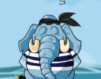 נוחרים באי המטמון