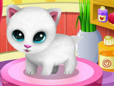 טיפוח כלבים וחתולים