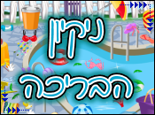 ניקיון הבריכה