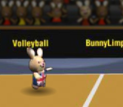 כדורעף ארנבים