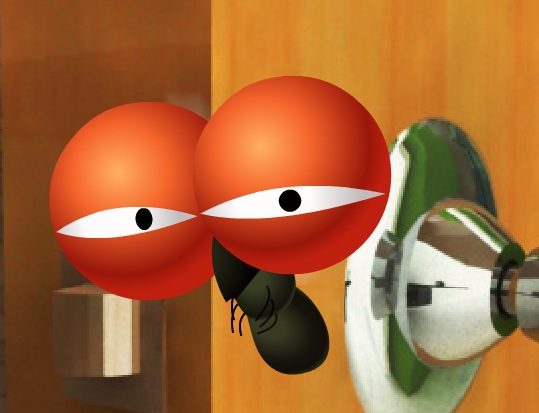 צייד הזבובים