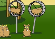 להעיף את האוגר