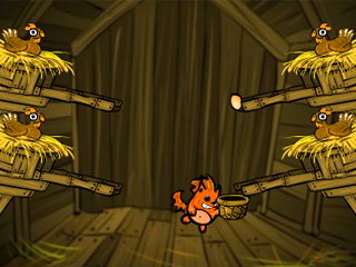 ביצים ביצים 