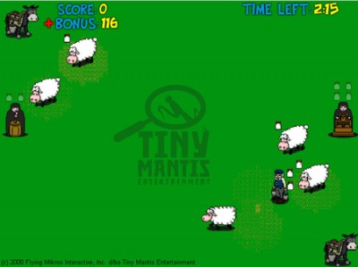 ניהול כבשים