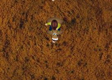 רק לא ליפול