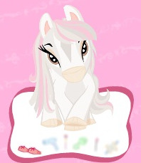 סלון-יופי לפוני של הבראץ