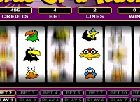 ציפורים של נוצות