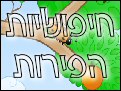 חיפושיות הפירות 