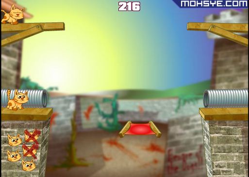 שואב החתולים