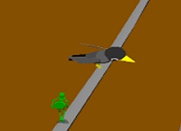 חרק על הכבל