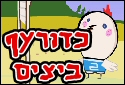 כדורעף (פולו) ביצים