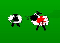 רוצח הכבשים