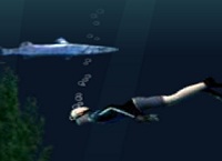 צוללן הפנינים