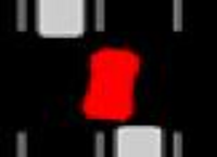 מרוץ קמיקזה