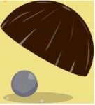 אגוזי הקוקוס זזים!