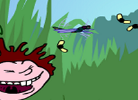 משחק הזבובים של דוני