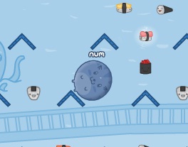 חתול הסושי בירח דבש