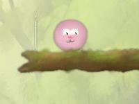 להציל את פלאפי