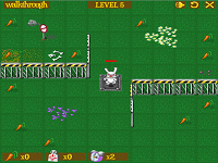 הארנב הביוני