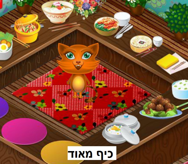  המטבח הסיני של סיסי 