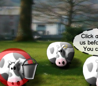  פרות מתפוצצות 