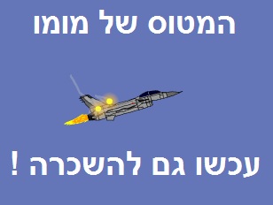 סימולטור טיסה 