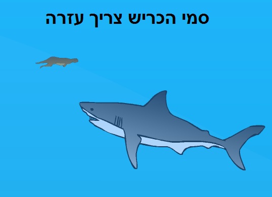 פתיון כרישים 