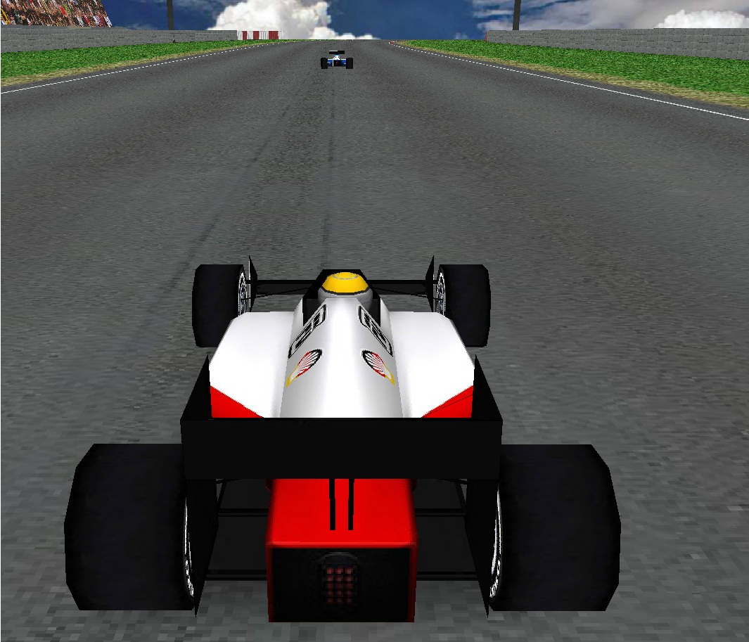 נהג הפורמולה 