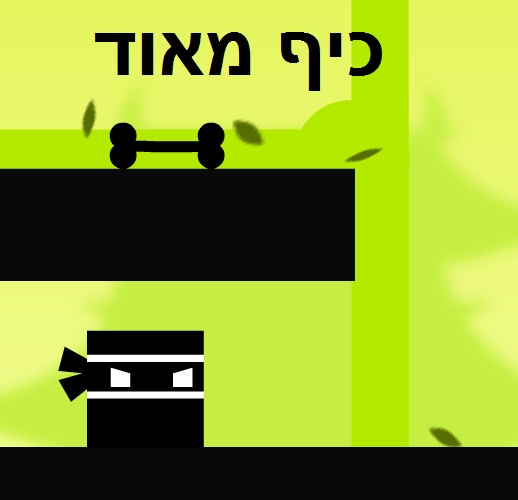 נינג'ה מרובעת 