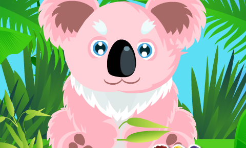 טיפול בקואלה