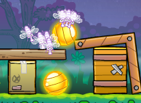 חרקים מעופפים ליליים