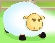 מגדל הכבשים 