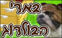 באדי הבולדוג