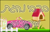 ברבי נהגת מירוצים