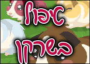 טיפול בשרקן