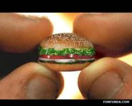 ההמבורגר הקטן בעולם