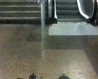 לשמנים ולרזים