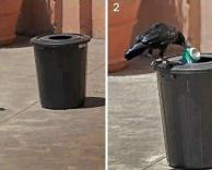 למחזר זה חשוב!