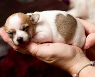 גם אני אוהב אותך!