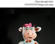 פרה